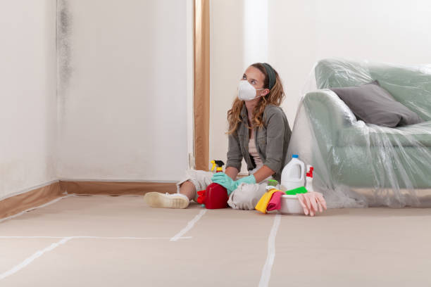 Reliable Black Mold Remediation contractor in Innovation, VA by 24 Hour Mold Removal